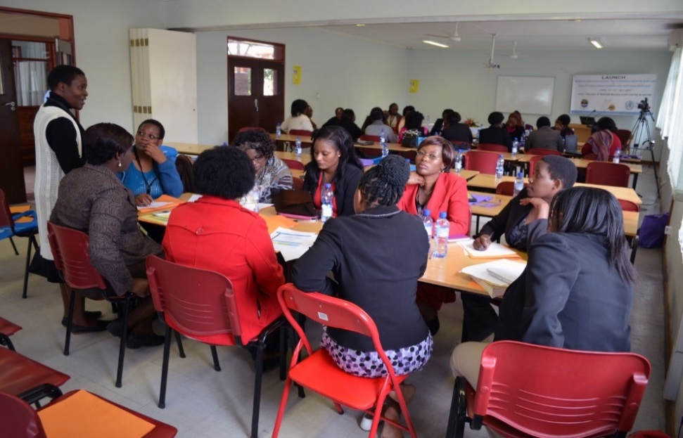 Workshop session organized by WIDREM