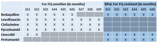 table with data on the effectiveness and safety of two modified Bedaquiline-containing regimens