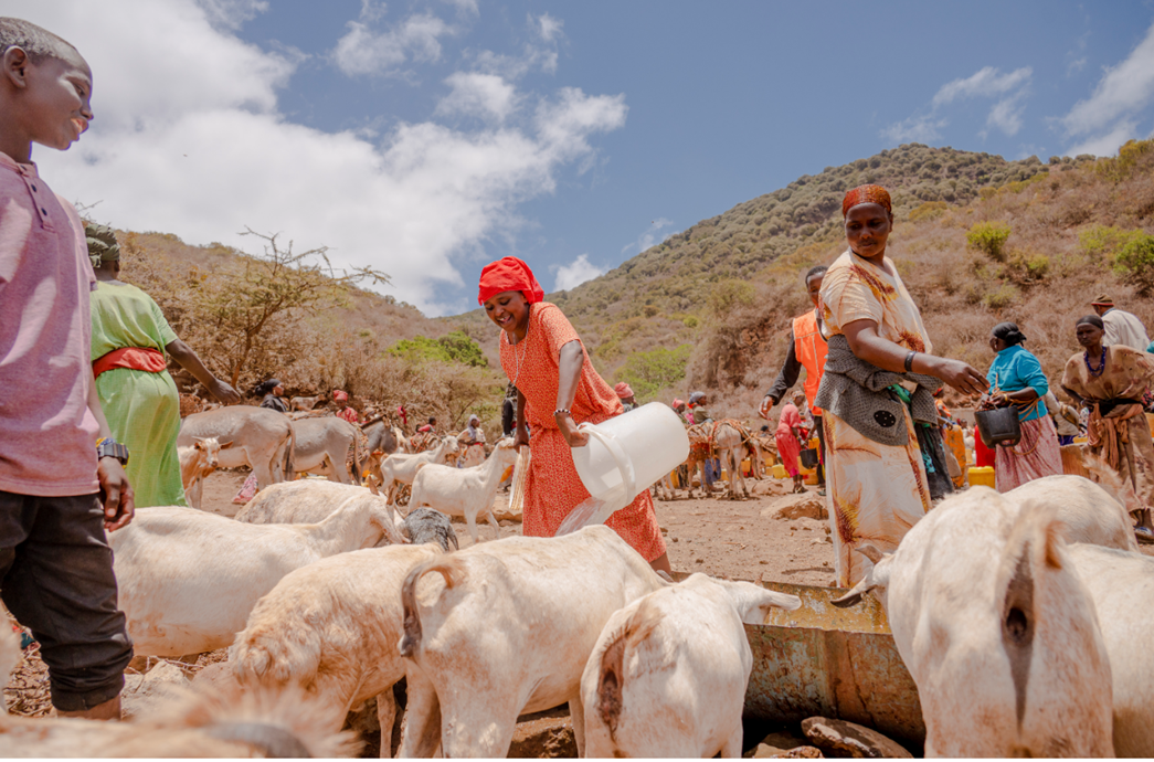 On 21 September 2022 a woman smiles as she finally gets her turn for her family goats to drink water at Hula Hula Springs in Marsabit County, Kenya.