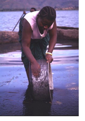 Schistosomiasis in United Republic of Tanzania