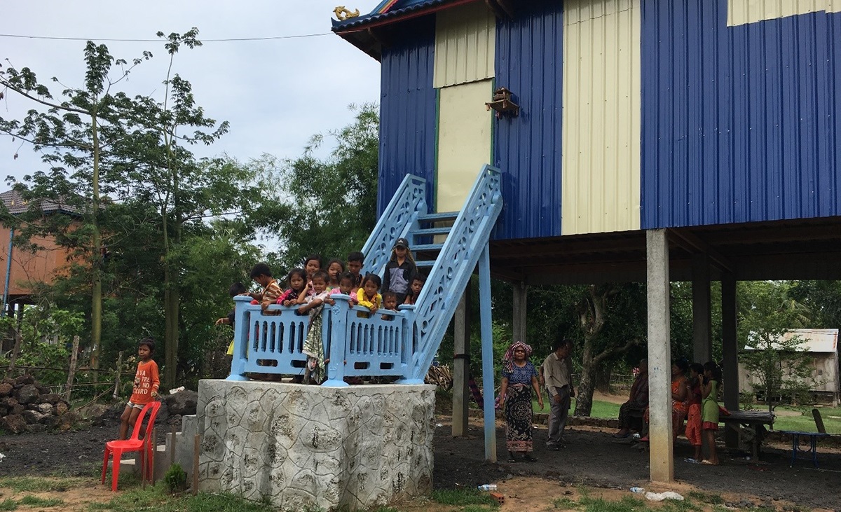 Impact of socio-ecological systems and resilience based strategies on dengue vector control