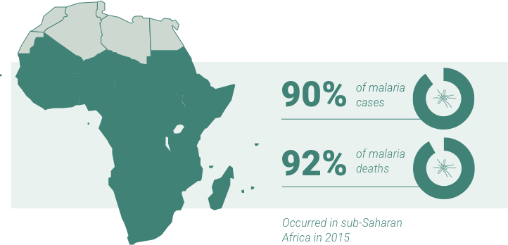 -programme-overview-what-is-rmt-africa-2809