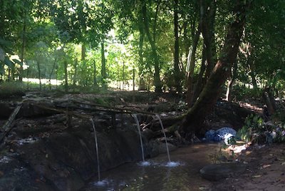 -programme-overview-what-is-rmt-who-at-risk-forest-2809