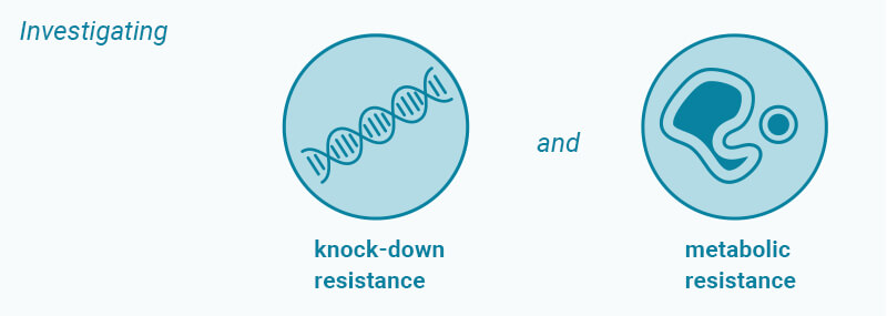 -west-africa-overview-objectives-investigating-2709