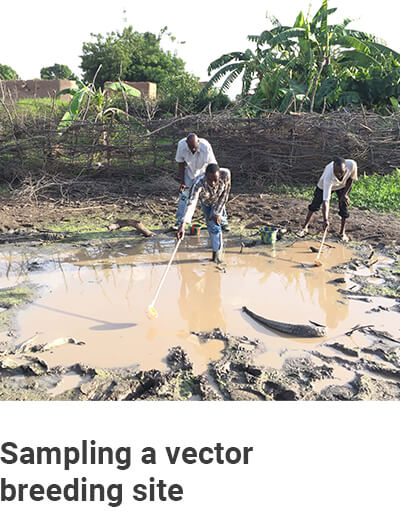 -west-africa-overview-the-aim-sampling-2709 (2)
