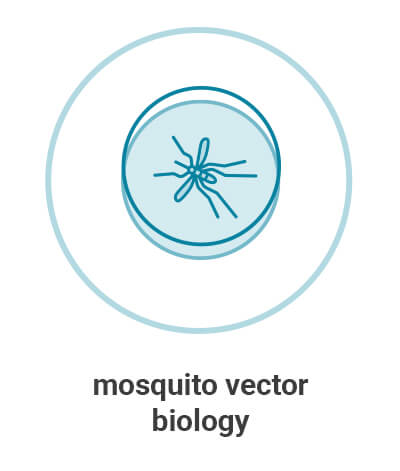 peru-and-brazil-overview-aim3