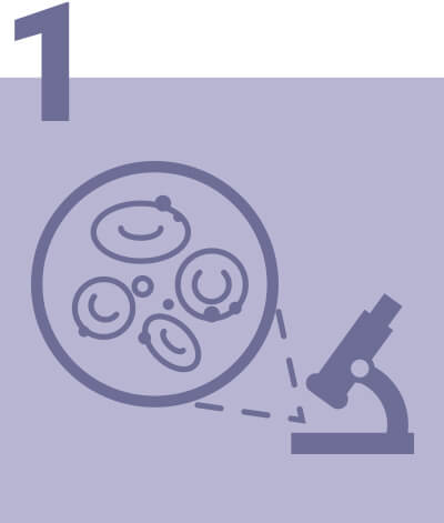 peru-and-brazil-overview-objectives1