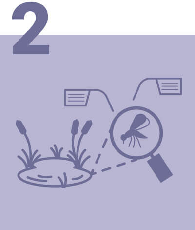 peru-and-brazil-overview-objectives2