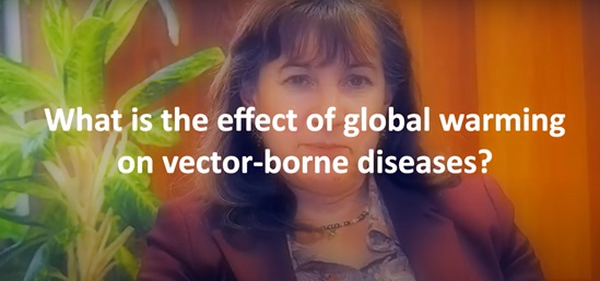 shows the title slide of a video